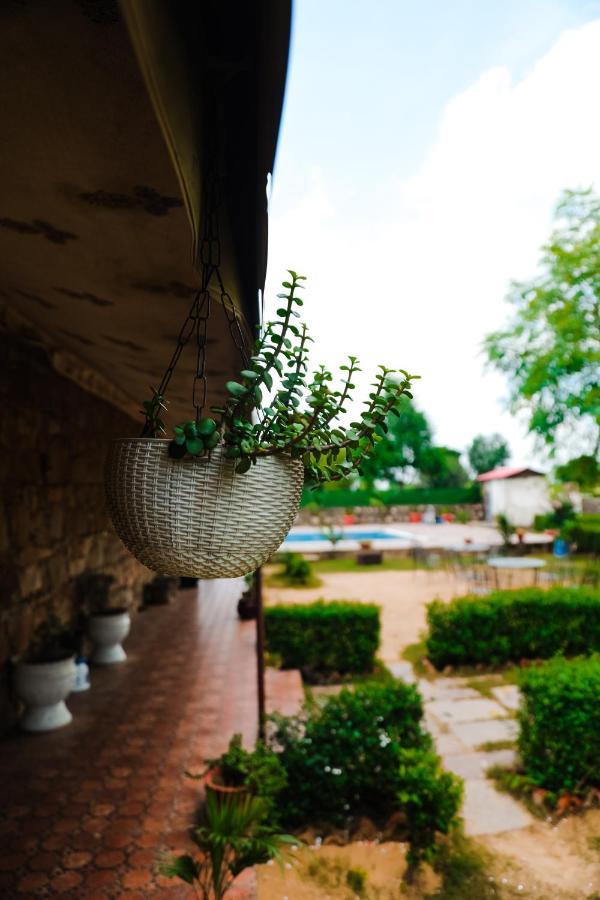 The Rustic Villa, A Stay With Luxuries Amenities And Exotic Nature ジャイプール エクステリア 写真